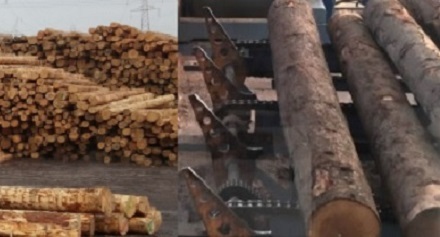 Wood-Lumber Industry BKC