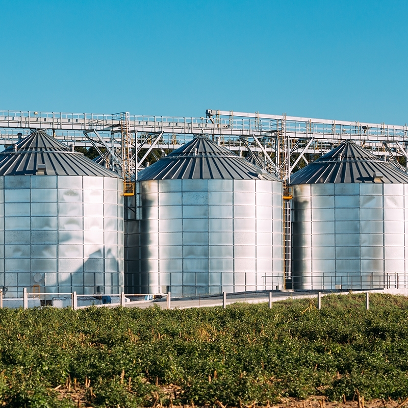 Silo, Değirmen, Yem
